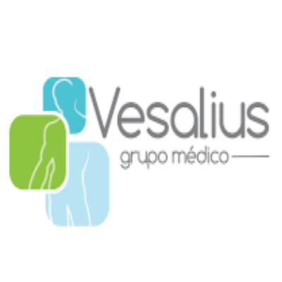Grupo Vesalius