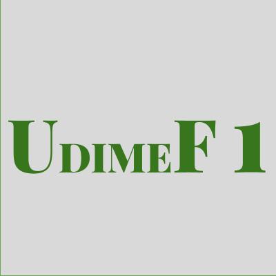 UDIMEF 1